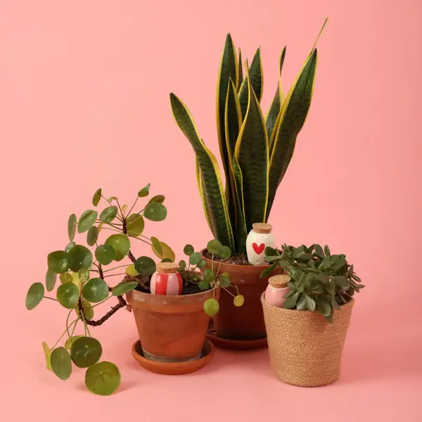 Pépin - Mini Olla Coeur - Rose - Rayé  (x3) - image